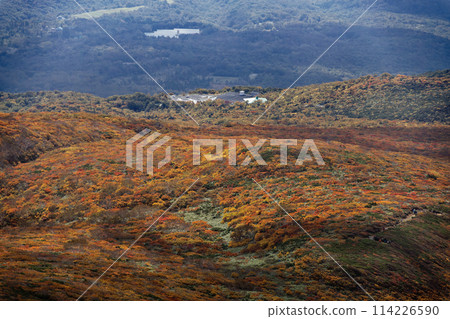 Autumn foliage on the mountainside as seen from Mt. Kurikoma 114226590