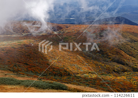 Autumn foliage on the mountainside as seen from Mt. Kurikoma Autumn foliage on the mountainside as seen from Mt. Kurikoma 114226611