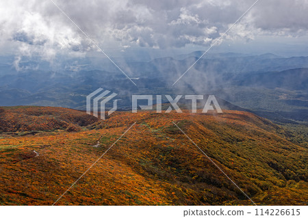 Autumn foliage on the mountainside as seen from Mt. Kurikoma 114226615