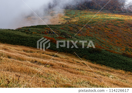 Autumn foliage on the mountainside as seen from Mt. Kurikoma 114226617