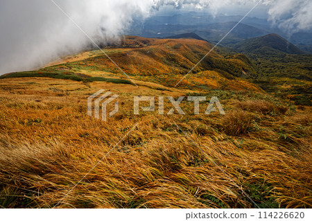 Autumn foliage on the mountainside as seen from Mt. Kurikoma Autumn foliage on the mountainside as seen from Mt. Kurikoma 114226620