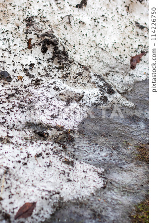 A freezing pile of snow with brown and grey spots resembling a geology pattern A freezing pile of snow with brown and grey spots resembling a geology pattern 114226750