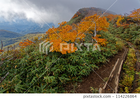 秋天從栗駒山看到的紅葉 秋天從栗駒山看到的紅葉 114226864