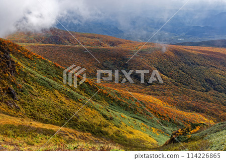 秋天從栗駒山看到的紅葉 秋天從栗駒山看到的紅葉 114226865
