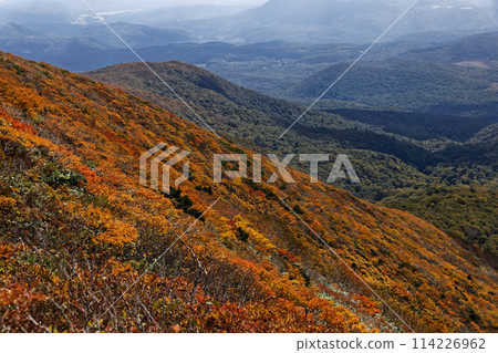 Autumn leaves of Mount Kurikoma 114226962