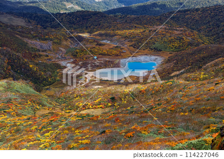 Autumn foliage on the mountainside as seen from the ridgeline of Mt. Kurikoma 114227046