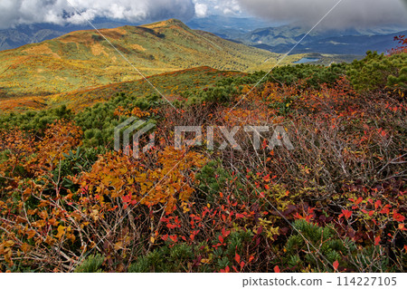 栗駒山和天馬嶺的紅葉 栗駒山和天馬嶺的紅葉 114227105