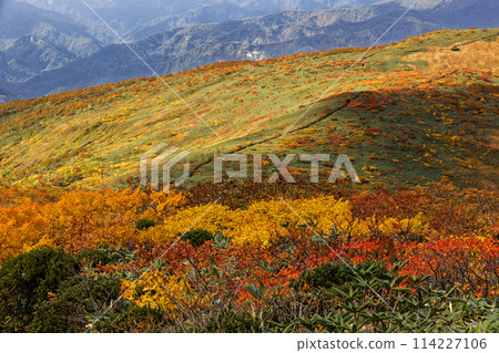 栗駒山和天馬嶺的紅葉 栗駒山和天馬嶺的紅葉 114227106
