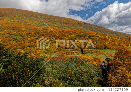 栗駒山和天馬嶺的紅葉 114227109