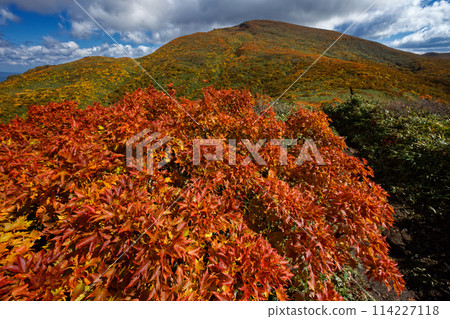 栗駒山和天馬嶺的紅葉 栗駒山和天馬嶺的紅葉 114227118