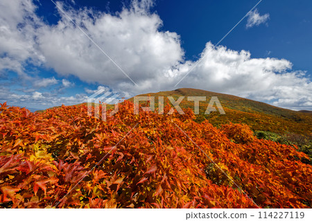 栗駒山和天馬嶺的紅葉 栗駒山和天馬嶺的紅葉 114227119