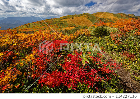 栗駒山和天馬嶺的紅葉 栗駒山和天馬嶺的紅葉 114227130