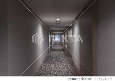 Hotel hallway Hotel hallway 114227222