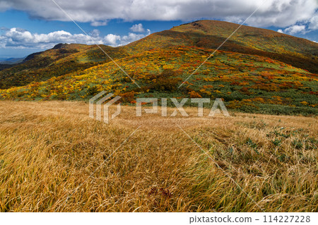 Autumn foliage of Mount Kurikoma seen from Tenma Ridge 114227228
