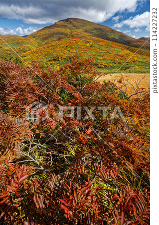 從天滿嶺看到紅葉的栗駒山 從天滿嶺看到紅葉的栗駒山 114227232