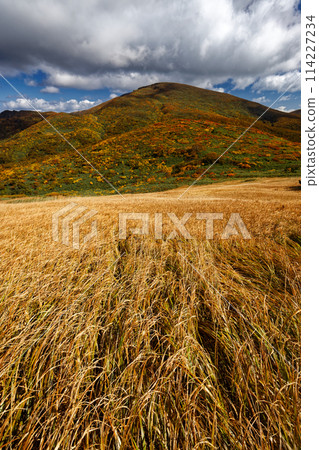 Autumn foliage of Mount Kurikoma seen from Tenma Ridge Autumn foliage of Mount Kurikoma seen from Tenma Ridge 114227234