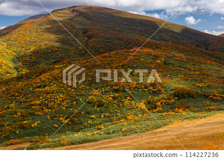 Autumn foliage of Mount Kurikoma seen from Tenma Ridge Autumn foliage of Mount Kurikoma seen from Tenma Ridge 114227236