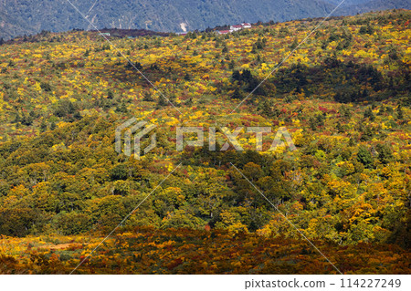 Sugawa Onsen seen from the autumnal ridge of Mt. Kurikoma 114227249