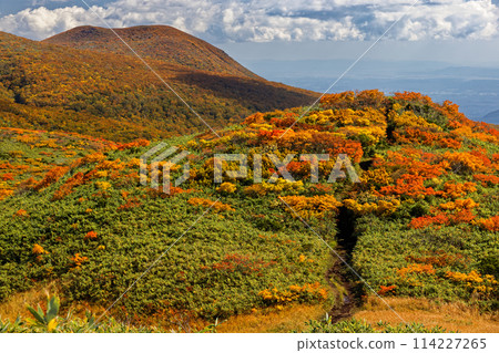 Autumn foliage on Mount Kurikoma and Tenma Ridge 114227265