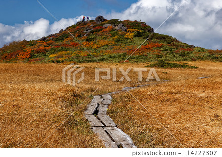栗駒山和白銀草原的秋葉 栗駒山和白銀草原的秋葉 114227307