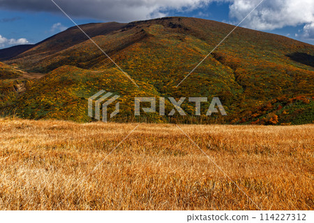 從天滿嶺看到紅葉的栗駒山 從天滿嶺看到紅葉的栗駒山 114227312
