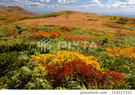 Autumn foliage on Mount Kurikoma and Tenma Ridge Autumn foliage on Mount Kurikoma and Tenma Ridge 114227332