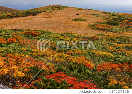 栗駒山和天馬嶺的紅葉 114227336