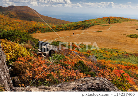 栗駒山、天滿嶺、白銀草原上的紅葉 114227400