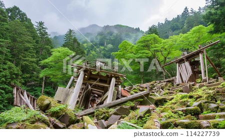 深山密林中的一片破爛廢墟 深山密林中的一片破爛廢墟 114227739