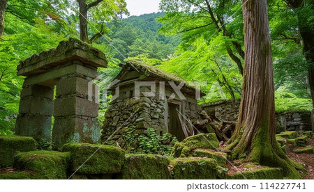 深山密林中的一片破爛廢墟 深山密林中的一片破爛廢墟 114227741