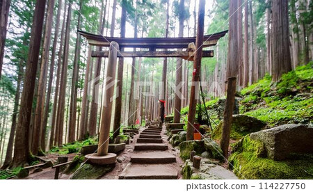 深山中的森林神社 114227750