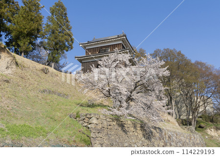 在上田城堡的櫻花 114229193