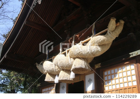 Suwa Taisha Kamisha Main Shrine and Shimenawa (Suwa City, Nagano Prefecture) 114229289