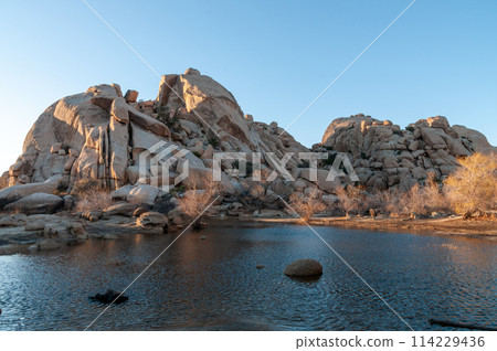 Barkers Dam in Joshua Tree National Park 114229436