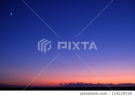 A crescent moon floating in the twilight sky 114229558