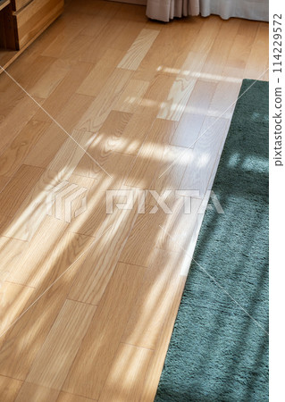地板 114229572