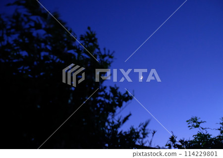 A crescent moon floating in the twilight sky 114229801