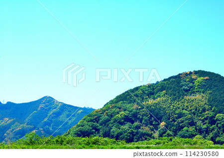 靜岡市郊春里山風景 114230580