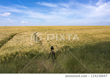 A camera on a tripod A camera on a tripod 114230647