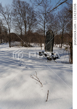 The road to Shimeitei Observatory in winter (Akita Prefecture) The road to Shimeitei Observatory in winter (Akita Prefecture) 114231036