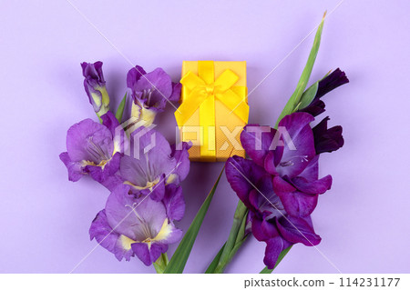 Purple gladioli flowers and yellow gift box on lilac background. Mother's Day concept, greeting card Purple gladioli flowers and yellow gift box on lilac background. Mother's Day concept, greeting card 114231177