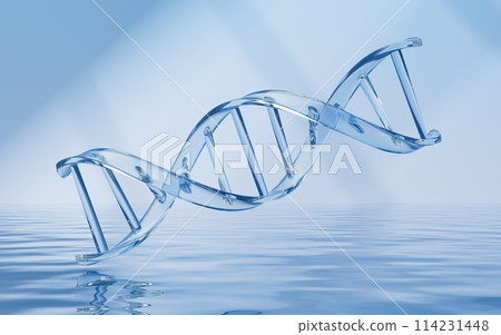 DNA with water surface background, 3d rendering. 114231448