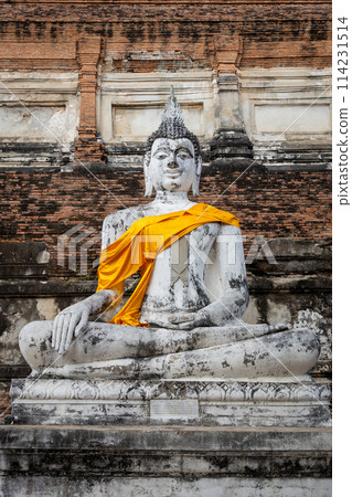 Ayutthaya historical park 114231514