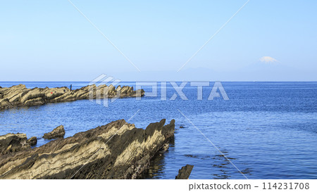 Early summer (spring) in Jogashima, Miura City, Kanagawa Prefecture Early summer (spring) in Jogashima, Miura City, Kanagawa Prefecture 114231708