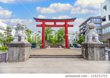 Torii Torii Torii at Kamakura Wakamiya Odori 114231723