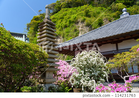 The grounds of An'yo-in Temple, Kamakura 114231763