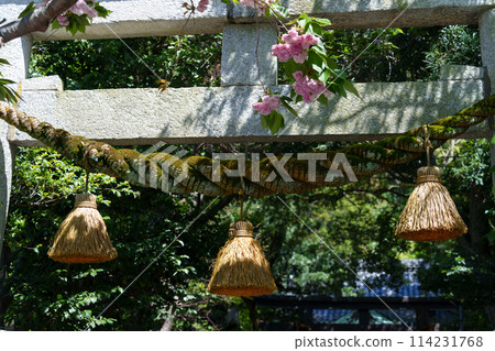 鎌倉最古老的辟邪神社八雲神社 114231768