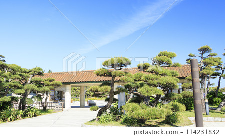 神奈川縣最南端城島的初夏 114231832