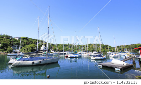 Yachts moored in a yacht harbor (Aburatsubo, Miura City, Kanagawa Prefecture) Yachts moored in a yacht harbor (Aburatsubo, Miura City, Kanagawa Prefecture) 114232115