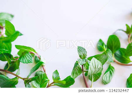 Peppermint leaves on white background Peppermint leaves on white background 114232447
